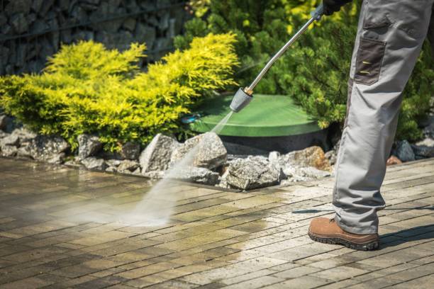 Best Gutter Cleaning  in Bronx, NY